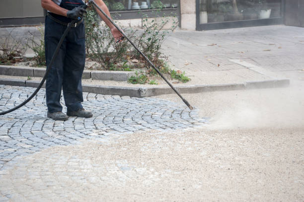 Best Driveway Pressure Washing  in Pecan Acres, TX