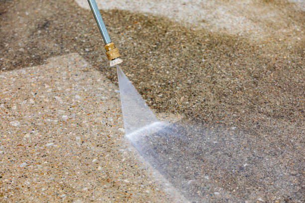 Animal Enclosure Cleaning in Pecan Acres, TX